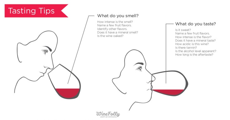 how-to-taste-wine-tips-technique