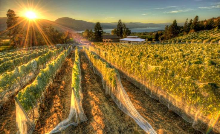 12909546_1015627058516172_2285327428464105869_o