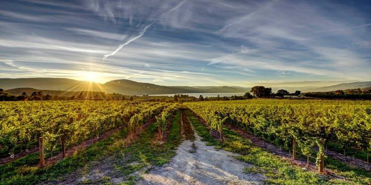 18192467_1351250698287138_8131004436298103405_o