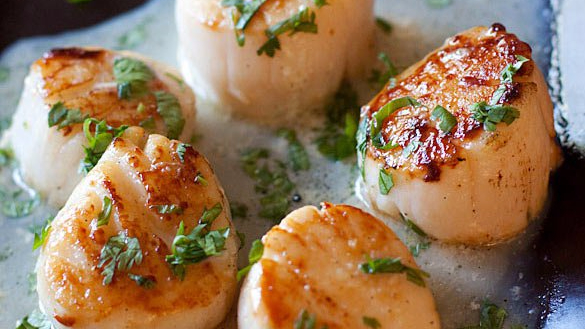 41f755c6516922d538efc7ce3bd73494