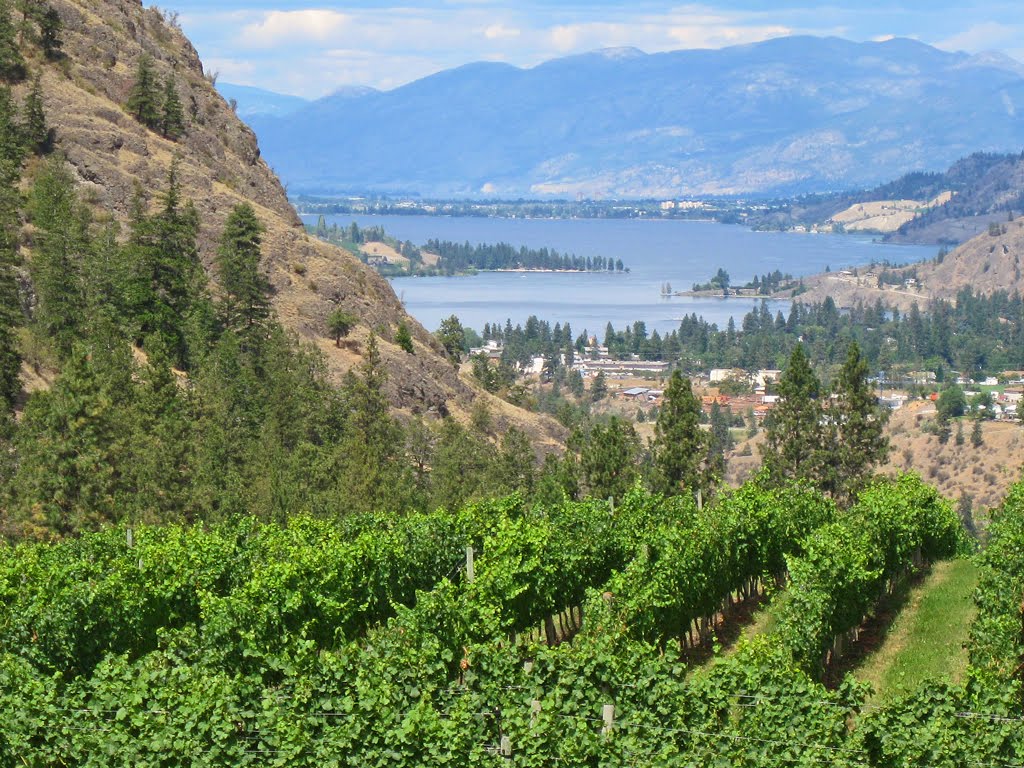 Image result for see ya later ranch